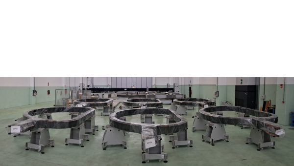 Progress in the Construction of the DTT Facility: Toroidal Field (TF) Coil Production advances